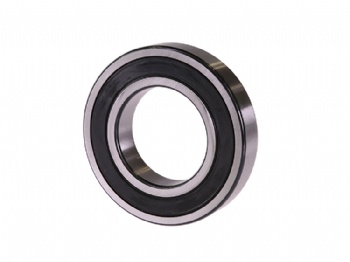 Electric Motor Bearings